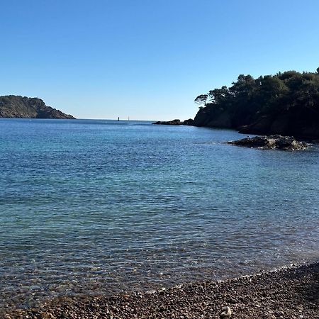 Lavande Centre Ancien Port Plages By Laconciergerie13 La Ciotat Exterior foto